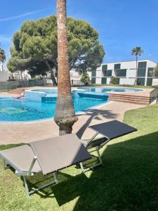 卡兰博希GM House Minorca的游泳池旁的两把椅子和一棵棕榈树