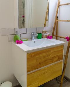 舍尔谢Studio Carambole by Sweety Stay的浴室的柜台设有水槽和镜子