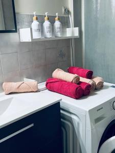 维拉尔-德朗Grand T2 renové, plein centre, 62 m²的浴室设有洗衣机和台面毛巾