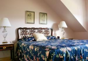 巴德克Chanterelle Inn & cottages的一间卧室配有一张带蓝色毯子和两盏灯的床。