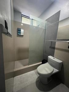 普卡尔帕Adrian´s Hotel的一间带卫生间和玻璃淋浴间的浴室