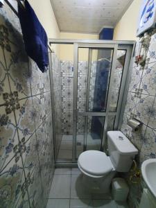 杜阿拉Appartement Cosy & Chill的一间带卫生间和淋浴的浴室