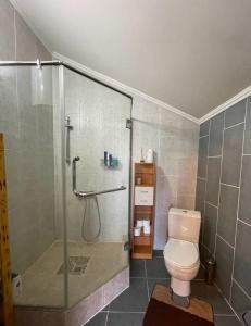 休钦斯克Гостевой дом的浴室设有玻璃淋浴间和卫生间