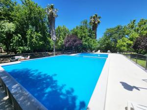 圣拉斐尔Cabañas Las Marias的一座绿树成荫的蓝色游泳池