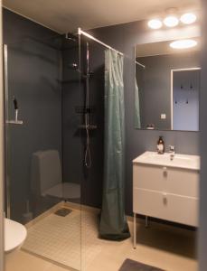 谢莱夫特奥The Studio的带淋浴、盥洗盆和镜子的浴室