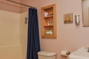 巴德克Chanterelle Inn & cottages的浴室设有卫生间和带蓝色淋浴帘的淋浴。