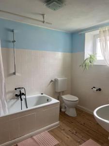 FinningCharming historical farmhouse的带浴缸、卫生间和盥洗盆的浴室