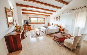 巴利-略夫雷加Can Lari Chalet的大型客房配有床和电视。