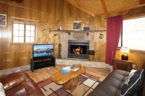 方斯金Canyon Cabin - A quaint cabin in a peaceful location yet close to Big Bear's attractions!的带沙发和壁炉的客厅