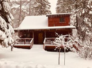 方斯金Canyon Cabin - A quaint cabin in a peaceful location yet close to Big Bear's attractions!的雪地里的小木屋,有雪覆盖的树木