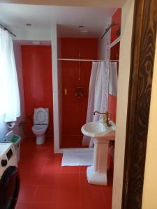 维尔纽斯Lesnoy holiday home的浴室配有卫生间、盥洗盆和淋浴。