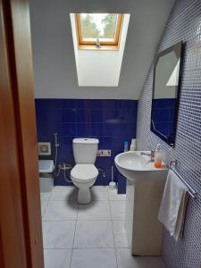 维尔纽斯Lesnoy holiday home的蓝色的浴室设有卫生间和水槽