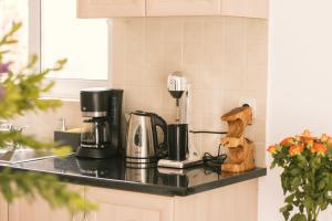克拉法吉亚Grey House的厨房台面上配有咖啡壶