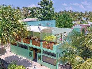OmadhooTurtle Maldives - Your Gateway to the Beach & Marine Adventures Await!的一座绿色建筑,前面有棕榈树