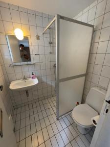 霍耶Marskture Hostel的一间带卫生间、水槽和镜子的浴室