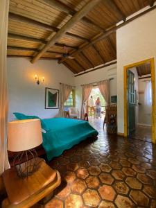 伦索伊斯普萨达塞拉诺别墅酒店的一间位于客房内的带绿床的卧室