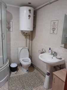 亚布卢尼齐亚Котеджі "У Яни"的一间带卫生间和水槽的浴室