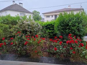 欧里亚克Maison avec extérieur et arrivée autonome - Aurillac的一座房子前的红花花园