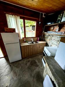 泽拉夫纳Фильовата къща的厨房配有冰箱和水槽