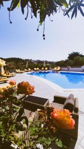 梅加利阿莫斯Spitaki Guest House的旁边设有一座带椅子和鲜花的大型游泳池