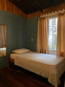 帕克拉Mauras Tropical Mini Hostel & Tours的一间卧室设有一张大床和窗户