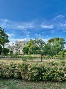 托雷德尔格雷科Villa De Cillis Carafa的一片树木繁茂的田野和一座房子