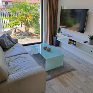 米库洛夫Palm Garden Apartment 1的带沙发和电视的客厅