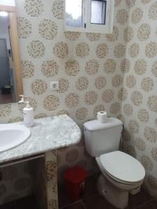 巴尔巴特La casita de Ahinoan.的一间带卫生间、水槽和镜子的浴室
