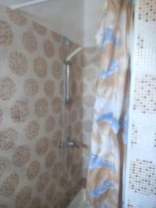 巴尔巴特La casita de Ahinoan.的带淋浴和浴帘的浴室