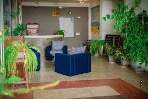 卡尔库达Aqua Marine Beach Hotel的客厅配有蓝色椅子和盆栽植物