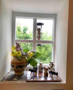 CollinstownThe Milking Parlour的花瓶和花瓶的窗户