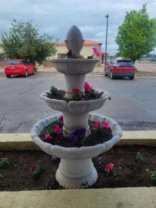 弗纳尔Horizon Hotel的停车场内白色的喷泉,花朵花