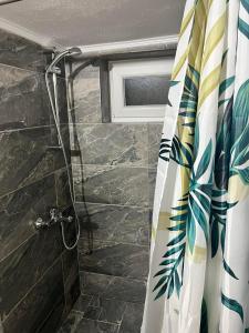 VILA MARIALENA的浴室内配有淋浴帘。