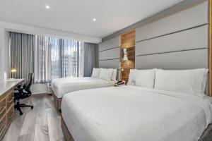 圣胡安圣胡安康达智选假日酒店的酒店客房配有两张床和一张书桌