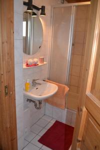 乌塞林Villa Rosenrot的一间带水槽、淋浴和镜子的浴室