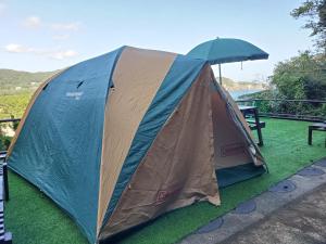 南伊豆町手石キャンプ場的蓝棕色的帐篷,坐在草地上