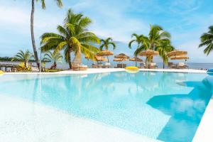 PaopaoCook's Bay Hotel & Suites的一座棕榈树和遮阳伞的游泳池