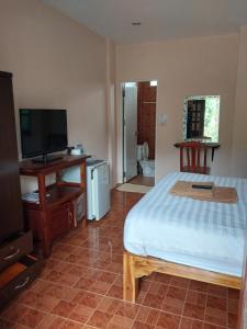 象岛索菲亚花园度假酒店的一间卧室配有一张床、一张书桌和一台电视