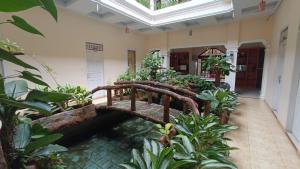 MakaleManggasa Hotel的满布植物的房间,木桥
