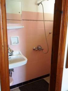 阿齐亚·佩拉加·基西拉凯瑟莱亚酒店的一间带水槽和淋浴的小浴室