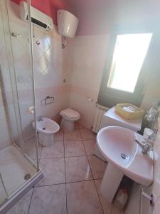 阿尔巴塔克斯La Gioia di Casa的一间带水槽、卫生间和淋浴的浴室