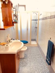 加利波利Gallipolitravel Residence Baia Verde的一间带水槽、卫生间和淋浴的浴室