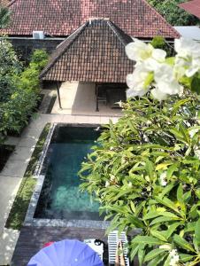 塞米亚克The Island Bali的花园中的一个游泳池