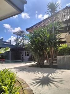 塞米亚克The Island Bali的棕榈树庭院和建筑
