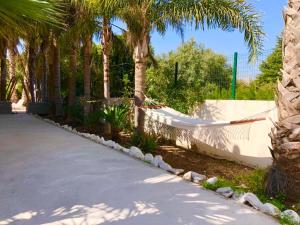 卡斯特利翁-德拉普拉纳Villa Holiday的一条种有棕榈树和围栏的车道