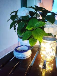 庞贝Gio House Pompei的带有罐子的桌子和带有植物的花瓶