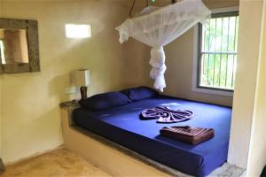米瑞莎The Spice House Mirissa的一间卧室配有一张带蓝色床单的床和一扇窗户。