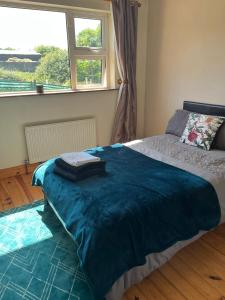 Graiguenamanaghgraiguenamanagh Homestay的一间卧室配有一张带蓝色毯子的床