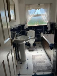 Graiguenamanaghgraiguenamanagh Homestay的浴室配有盥洗盆、卫生间和浴缸。