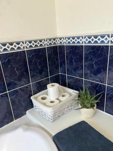Graiguenamanaghgraiguenamanagh Homestay的浴室设有浴缸上的马桶垫纸架